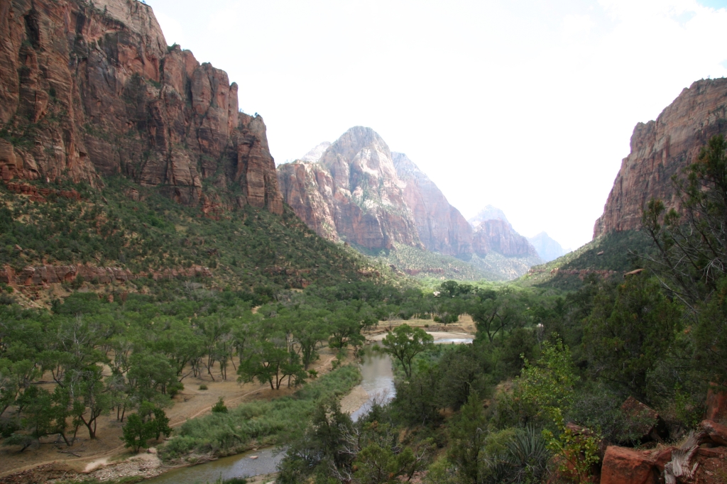 05 - Zion NP (3).JPG